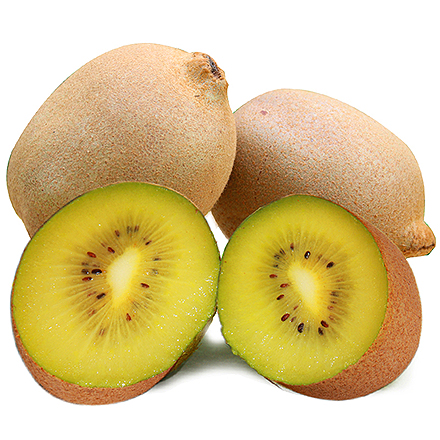 开云电竞官网产品中心四