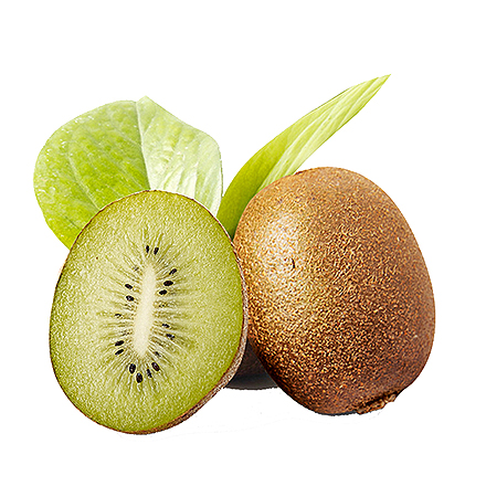 开云电竞官网产品中心六